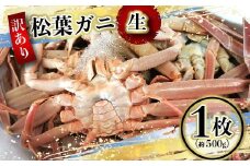 【先行予約】（訳あり）松葉ガニ（生なま） 1枚（約500g）【年内配送】※着日指定不可※北海道、沖縄、一部離島への配送不可《ずわいがに　かに　カニ　蟹》