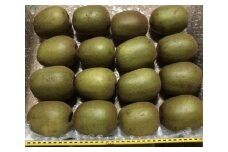 【先行予約】キウイフルーツ（レインボーレッド2kg）と追熟剤セット
