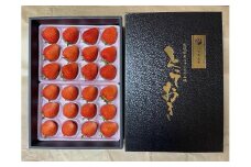 ＜2026年2月より発送＞がんばる私に、ご褒美いちご。オリジナル品種「とっておき」( 24 ～ 30 粒入り )ドライフルーツ2袋セット(贈答用)