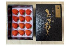 ＜2026年2月より発送＞がんばる私に、ご褒美いちご。オリジナル品種「とっておき」（ 12 ～ 15 粒入り )ドライフルーツセット(贈答用)