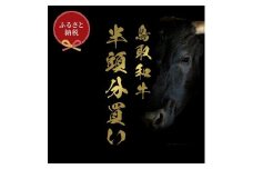 【定期便】和牛セレブ鳥取和牛半頭分（12分割配送）