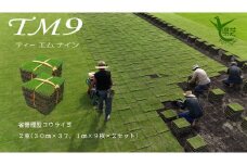【先行予約 2025年9月以降発送】芝生(省管理型コウライ芝　TM9ティーエムナイン)２束セット※2平米分