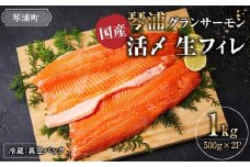＼国産 サーモン／ 琴浦 グランサーモン 約1kg ( 500g × 2p ) フィレ 養殖サーモン 陸上養殖 生サーモン 魚 海鮮魚介 ふるさと納税 鮭 サケ 鮮度抜群 人気 おすすめ 鳥取 グルメ 真空パック 冷蔵 ふるさと サーモン