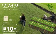【先行予約 2025年9月以降発送】芝生(省管理型コウライ芝　TM9ティーエムナイン)10束セット※10平米分