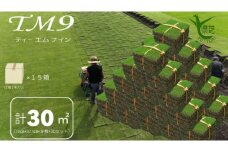 【先行予約 2025年9月以降発送】芝生(省管理型コウライ芝　TM9ティーエムナイン)30束セット※30平米分