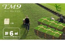 【先行予約 2025年9月以降発送】芝生(省管理型コウライ芝　TM9ティーエムナイン)6束セット※6平米分