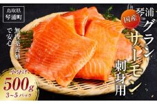 サーモン 琴浦 グランサーモン 500g ( 3-5パック ) 刺身用 小分け 生食 国産 陸上養殖 刺身 刺し身 さしみ 冷凍 鮭 サケ 魚 さかな 海鮮 魚介類 鳥取 人気 おすすめ 真空 個包装
