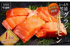 サーモン 琴浦 グランサーモン 1kg ( 200g × 5パック ) 【 刺身 生食可 国産 サーモン 養殖 陸上養殖 サーモン 刺し身 さしみ 小分け 真空 冷凍 サーモン 鮭 サケ 魚 さかな グランサーモン 海鮮 魚介類 養殖サーモン 鳥取 人気 おすすめ 国産サーモン 琴浦町 】