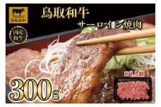 鳥取和牛サーロイン焼肉　300g  1329