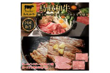 【定期便】鳥取和牛 極上サーロインステーキとすき焼き定期便 12か月  TB8