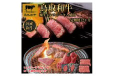 【定期便】鳥取和牛 極上ヒレステーキと焼肉 定期便 12か月  TB9