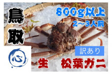 【先行予約】鳥取県産　生　松葉ガニ訳アリ(800g）（2～3人前）