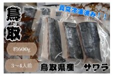 【先行予約】鳥取県産 サワラ６００g（３００g×２パック） 国産 サワラ 鰆 生食用 真空冷凍