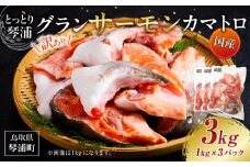 【先行予約 2025年11月以降発送】【数量限定】訳あり 国産 とっとり 琴浦 グラン サーモン カマトロ 3kg（1kg×3パック）