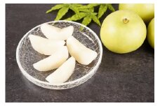 数量限定　鳥取県産梨　二十世紀梨（家庭用）　5kg　12玉～14玉