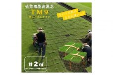芝生(省管理型コウライ芝　TM9ティーエムナイン)２束セット※2平米分