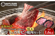 45.鳥取牛ハラミと鳥取和牛カルビの特大焼肉セット 合計1.6kg【国産 鳥取和牛 和牛 焼肉 肉 にく すき焼き モモ 鳥取県 北栄町 おすすめ 人気】 