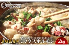 72.鳥取県産牛 ミックスホルモン 2kg【国産 鳥取和牛 和牛 焼肉 肉 にく 鳥取県 北栄町 おすすめ 人気】 