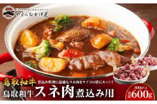 70.鳥取和牛 スネ肉煮込み用 300g×2パック【国産 鳥取和牛 和牛 焼肉 肉 にく 鳥取県 北栄町 おすすめ 人気】 