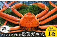 110.【先行予約】【蒸し】ブランドタグ付き松葉ガニ 大 800～940g前後 1枚 ※2025年11月上旬～2026年3月上旬頃に順次発送予定【松葉ガニ 松葉蟹 蟹 かに 甲殻類 ズワイガニ 鳥取県 北栄町 おすすめ 人気 送料無料】