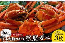 114.【先行予約】【蒸し】訳あり ご自宅用 日本海獲れたて松葉ガニ 500～640g前後 ３枚 ※2025年11月上旬～2026年3月上旬頃に順次発送予定【家庭用 松葉ガニ 松葉蟹 蟹 かに 甲殻類 ズワイガニ 鳥取県 北栄町 おすすめ 人気 送料無料】