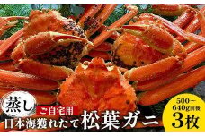 114.【先行予約】【蒸し】訳あり ご自宅用 日本海獲れたて松葉ガニ 500～640g前後 ３枚 ※2025年11月上旬～2026年3月上旬頃に順次発送予定【家庭用 松葉ガニ 松葉蟹 蟹 かに 甲殻類 ズワイガニ 鳥取県 北栄町 おすすめ 人気 送料無料】
