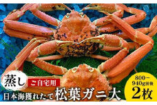 115.【先行予約】【蒸し】訳あり ご自宅用 日本海獲れたて松葉ガニ 大 800～940g前後 ２枚 ※2025年11月上旬～2026年3月上旬頃に順次発送予定【家庭用 松葉ガニ 松葉蟹 蟹 かに 甲殻類 ズワイガニ 鳥取県 北栄町 おすすめ 人気 送料無料】