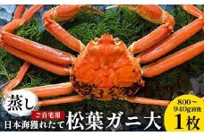 116.【先行予約】【蒸し】訳あり ご自宅用 日本海獲れたて松葉ガニ 大 800～940g前後 1枚 ※2025年11月上旬～2026年3月上旬頃に順次発送予定【家庭用 松葉ガニ 松葉蟹 蟹 かに 甲殻類 ズワイガニ 鳥取県 北栄町 おすすめ 人気 送料無料】