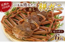 123.【先行予約】【蒸し】訳あり 足折れ ご自宅用 日本海獲れたて親ガニ（セコガニ）6枚 ※2025年11月上旬～12月下旬頃に順次発送予定【家庭用 松葉ガニ 松葉蟹 蟹 かに 甲殻類 ズワイガニ 鳥取県 北栄町 おすすめ 人気 送料無料】