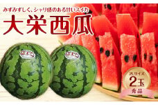 733.【先行予約】【JA】大栄西瓜 秀2L×2玉 ※着日指定不可 ※離島への配送不可 ※2025年6月中旬頃～7月中旬頃に順次発送予定【大栄西瓜 西瓜 すいか スイカ フルーツ 果物 鳥取県 北栄町 おすすめ 人気】