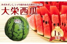 734.【先行予約】【JA】大栄西瓜 秀特×1玉 ※着日指定不可 ※離島への配送不可 ※2025年6月中旬頃～7月中旬頃に順次発送予定【大栄西瓜 西瓜 すいか スイカ フルーツ 果物 鳥取県 北栄町 おすすめ 人気】