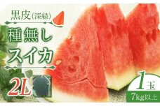 244.黒皮（深緑）種無しスイカ(大)※6月上旬～7月下旬頃に順次発送予定　※着日指定不可（こちらの返礼品は、大栄西瓜ではありません）【西瓜 スイカ 果物 フルーツ くだもの 鳥取県 北栄町 おすすめ 人気 送料無料】