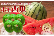 735.【先行予約】【JA】小玉西瓜 秀L×5玉 ※着日指定不可 ※離島への配送不可 ※2025年9月初旬頃～10月中旬頃に順次発送予定【小玉西瓜 西瓜 すいか スイカ フルーツ 果物 鳥取県 北栄町 おすすめ 人気】