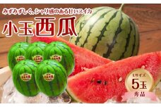 735.【先行予約】【JA】小玉西瓜 秀L×5玉 ※着日指定不可 ※離島への配送不可 ※2025年9月初旬頃～10月中旬頃に順次発送予定【小玉西瓜 西瓜 すいか スイカ フルーツ 果物 鳥取県 北栄町 おすすめ 人気】