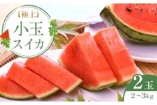 248.極上小玉スイカ 2玉 ※6月上旬～8月中旬頃に順次発送予定【西瓜 スイカ 小玉西瓜 果物 フルーツ くだもの 鳥取県 北栄町 おすすめ 人気 送料無料】
