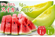 251.プレミアムスイカと旬のメロン1玉セット（こちらの返礼品は、大栄西瓜ではありません) ※6月上旬～7月下旬頃に順次発送予定 ※着日指定不可【西瓜 スイカ メロン セット商品  果物 フルーツ くだもの 鳥取県 北栄町 おすすめ 人気 送料無料】
