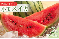 250.【品種はおまかせ】小玉スイカ 2玉 ※6月上旬～8月中旬頃に順次発送予定【おまかせ 西瓜 スイカ 小玉西瓜 果物 フルーツ くだもの 鳥取県 北栄町 おすすめ 人気 送料無料】