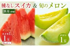 253.黒皮（深緑）種なしスイカと旬のメロンセット（こちらの返礼品は、大栄西瓜ではありません） ※6月上旬～7月下旬頃に順次発送予定【西瓜 スイカ メロン セット商品  果物 フルーツ くだもの 鳥取県 北栄町 おすすめ 人気 送料無料】