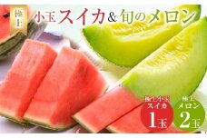 254.極上小玉スイカと旬のメロン2玉セット ※6月上旬～7月下旬頃に順次発送予定【西瓜 スイカ 小玉西瓜 メロン セット商品  果物 フルーツ くだもの 鳥取県 北栄町 おすすめ 人気 送料無料】