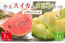 ＼2026年産先行予約／【品種はおまかせ】小玉スイカ1玉とメロン1玉セット ※2026年6月中旬頃～7月中旬頃に順次発送予定 | 西瓜 スイカ 小玉 すいか メロン めろん 果物 フルーツ くだもの 鳥取県 北栄町 おすすめ 人気 送料無料