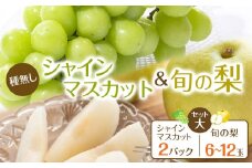 271.【先行予約】シャインマスカット(種無し)と旬の梨セット 大 ※2025年8月下旬～9月下旬頃に順次発送予定【先行予約 シャインマスカット マスカット 葡萄 ぶどう 梨 なし 果物 フルーツ くだもの 鳥取県 北栄町 おすすめ 人気 送料無料】