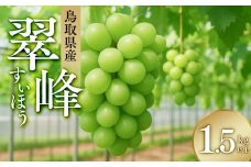275.ぶどう　翠峰（すいほう）1.5kg以上　※2025年9月中旬～下旬頃に順次発送予定　※北海道・沖縄・離島への発送不可