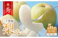 279.【先行予約】二十世紀梨 秀5kg L～5L 10～18玉前後 ※2025年8月下旬～9月下旬頃に順次発送予定【先行予約 梨 なし 果物 フルーツ くだもの 鳥取県 北栄町 おすすめ 人気 送料無料】