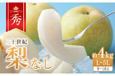 280.【先行予約】二十世紀梨 秀 約4kg L～5L 9～18玉前後 ※2025年8月下旬～9月下旬頃に順次発送予定【先行予約 梨 なし 果物 フルーツ くだもの 鳥取県 北栄町 おすすめ 人気 送料無料】