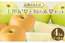 283.【先行予約】【品種はおまかせ】二十世紀梨と旬の赤梨セット ※2025年8月下旬～9月下旬頃に順次発送予定【先行予約 梨 なし 果物 フルーツ くだもの 鳥取県 北栄町 おすすめ 人気 送料無料】