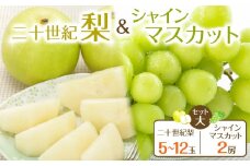 285.【先行予約】二十世紀梨とシャインマスカットのセット 大 ※8月下旬～9月下旬頃に順次発送予定【先行予約 梨 なし 果物 フルーツ くだもの 鳥取県 北栄町 おすすめ 人気 送料無料】