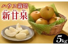 梨 ハウス新甘泉（ハウスしんかんせん）5kg（JA）※2025年8月上旬～8月中旬頃に順次発送予定【梨 なし ナシ 新甘泉 フルーツ 果物 鳥取県 北栄町 おすすめ 人気】