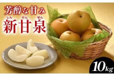 288.新甘泉（しんかんせん）10kg（JA）※2025年8月下旬～9月上旬頃に順次発送予定【梨 なし ナシ 新甘泉 フルーツ 果物 鳥取県 北栄町 おすすめ 人気】