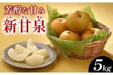 289.新甘泉（しんかんせん）5kg（JA）※2025年8月下旬～9月上旬頃に順次発送予定【梨 なし ナシ 新甘泉 フルーツ 果物 鳥取県 北栄町 おすすめ 人気】