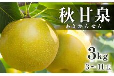 294.【先行予約】秋甘泉 3kg前後（3～11玉前後) ※2025年9月中旬～9月下旬頃に順次発送予定【先行予約 梨 なし 果物 フルーツ くだもの 鳥取県 北栄町 おすすめ 人気 送料無料】